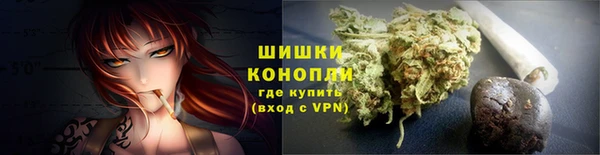стафф Новокубанск