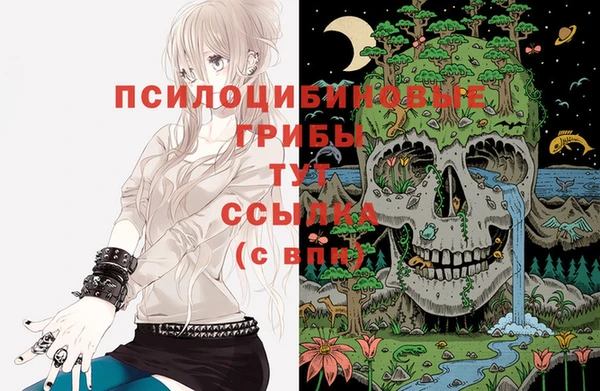 кокаин перу Вяземский